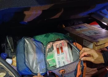 Carga de canetas emagrecedoras, perfumes importados e creme à base de cannabis é apreendida na BR-101 em Cristinápolis